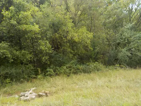 0 Rogues Fork Rd, Bethpage, TN 37022 photo 5