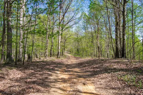 1555 Dog Hollow Rd, Lynnville, TN 38472
