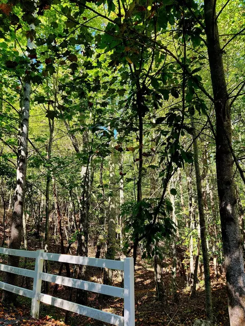 0 Ridge Wood Ln, Spencer, TN 38585
