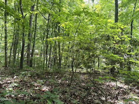 10 Swan Saddle, Sevierville, TN 37876