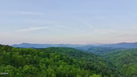 41 Black Maple Way, Del Rio, TN 37727