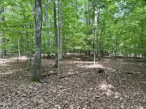 8 Woods Ridge Rd, Dandridge, TN 37725