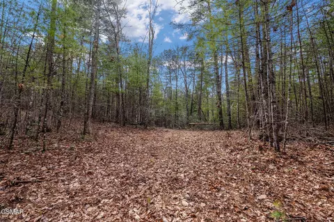 14 Paint Horse Way, Sevierville, TN 37876