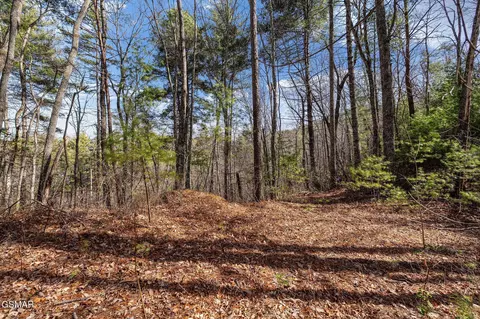 12 Paint Horse Way, Sevierville, TN 37876