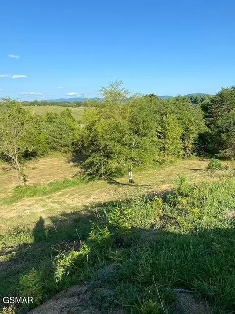 2644 E Flat Creek Blvd, Sevierville, TN 37876