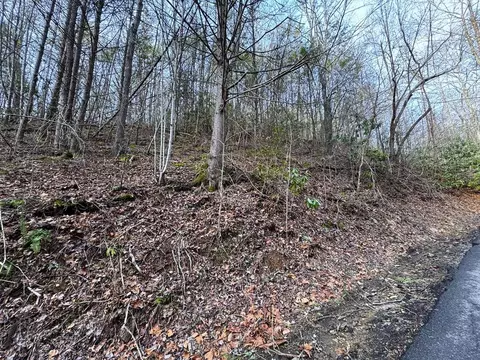 10 Black Gum Rd, Gatlinburg, TN 37738