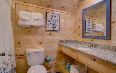 821 String Run Way, Pigeon Forge, TN 37863 photo 60
