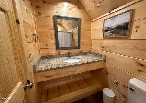 821 String Run Way, Pigeon Forge, TN 37863 photo 54