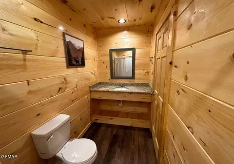 821 String Run Way, Pigeon Forge, TN 37863 photo 57