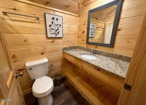 821 String Run Way, Pigeon Forge, TN 37863 photo 53