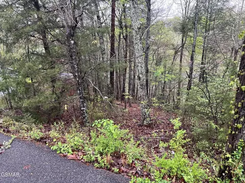 1 Mountain View Ln, Pigeon Forge, TN 37863