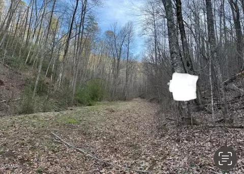 0 Dockery Branch Rd, Sevierville, TN 37876