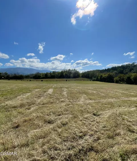 5402 Cocke County Line Rd, Cosby, TN 37722