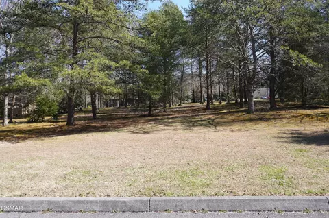 20 Rhododendron Trl, Cosby, TN 37722