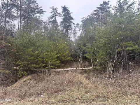 2 N White Pine Rd, White Pine, TN 37890 photo 3