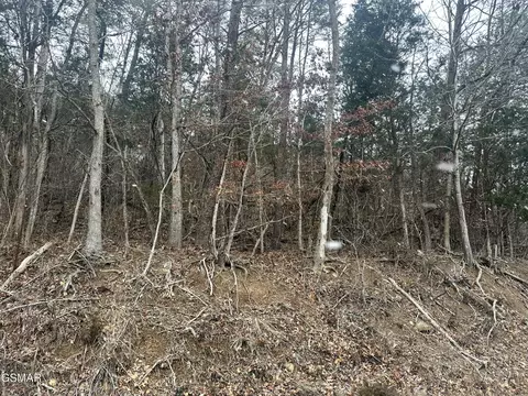 2 N White Pine Rd, White Pine, TN 37890 photo 2