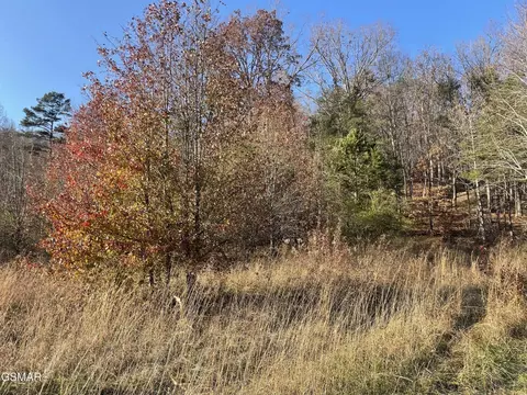 0 Poor Valley Rd, Rutledge, TN 37861 photo 3
