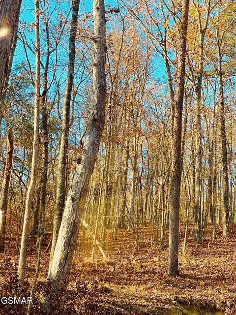 0 Poor Valley Rd, Rutledge, TN 37861 photo 13