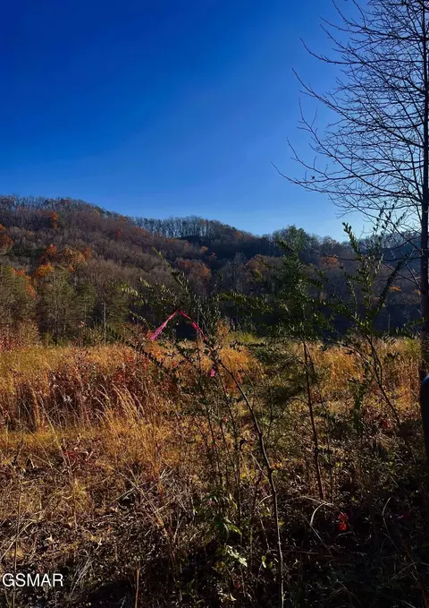 0 Poor Valley Rd, Rutledge, TN 37861 photo 10