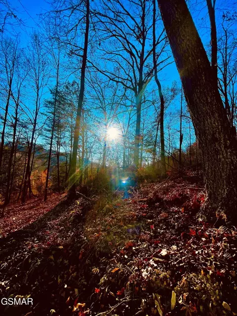 0 Poor Valley Rd, Rutledge, TN 37861 photo 7
