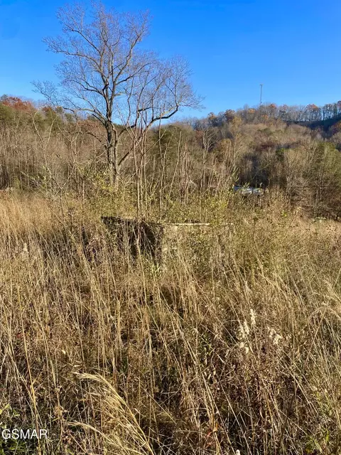 0 Poor Valley Rd, Rutledge, TN 37861 photo 11
