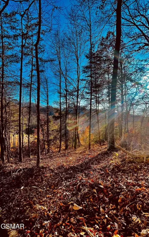 0 Poor Valley Rd, Rutledge, TN 37861 photo 6