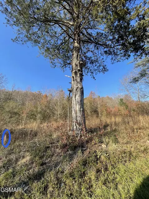 0 Poor Valley Rd, Rutledge, TN 37861 photo 4