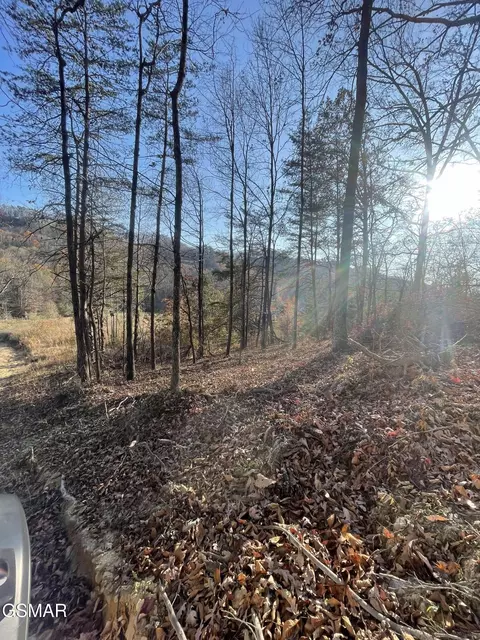 0 Poor Valley Rd, Rutledge, TN 37861 photo 5