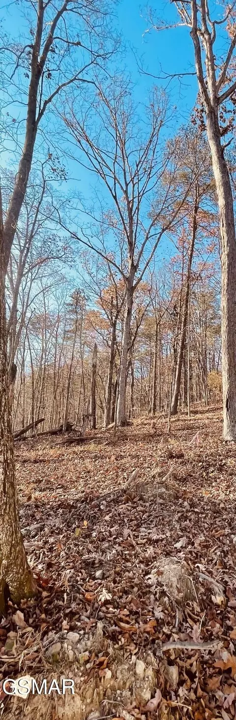 0 Poor Valley Rd, Rutledge, TN 37861 photo 8