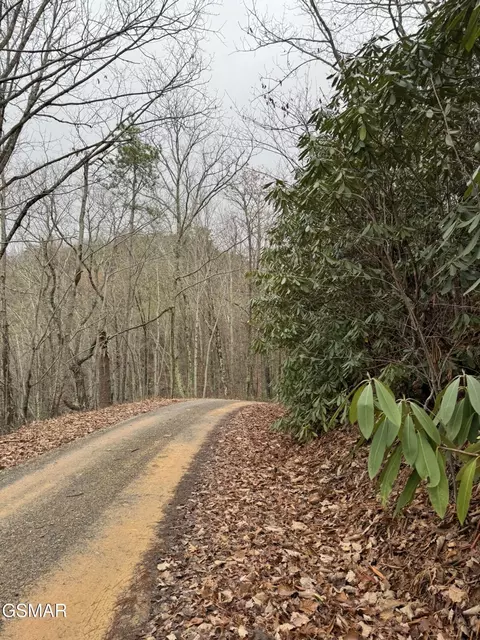 14 John Sevier Dr, Sevierville, TN 37876