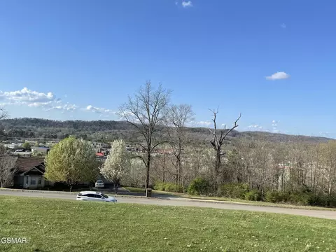 13 Chapman View Dr, Seymour, TN 37865