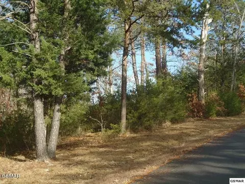 1 Cobblestone Ln, Dandridge, TN 37725