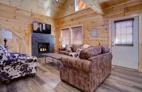 852 String Run Way, Pigeon Forge, TN 37863 photo 6