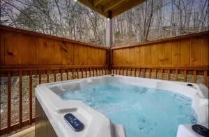 852 String Run Way, Pigeon Forge, TN 37863 photo 20