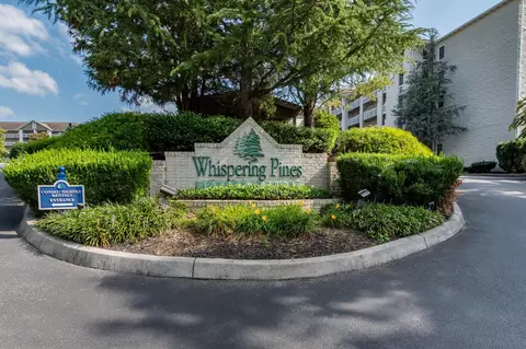 205 Ogle Dr #244, Pigeon Forge, TN 37863