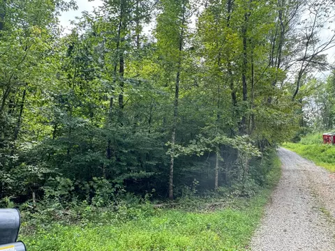 0 Vixen Way, Cosby, TN 37722