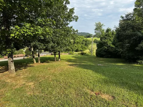1 Buckhead Trl, White Pine, TN 37890