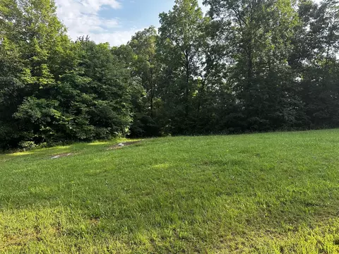 2 Buckhead Trl, White Pine, TN 37890