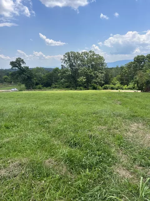 1 Valley Home Rd, Dandridge, TN 37725