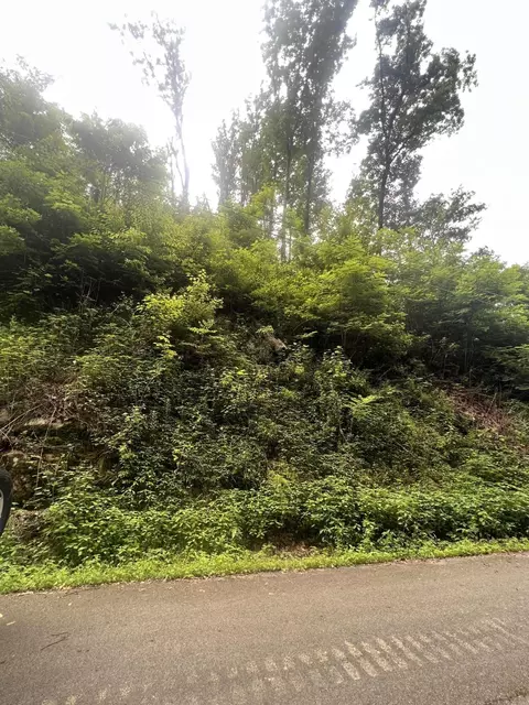 527 Deep Hollow Rd, Gatlinburg, TN 37738