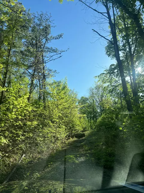 1030 Wiley Oakley Dr, Gatlinburg, TN 37738