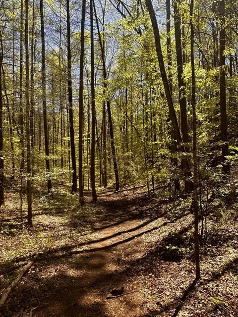 0 Mathis Branch Rd, Gatlinburg, TN 37738
