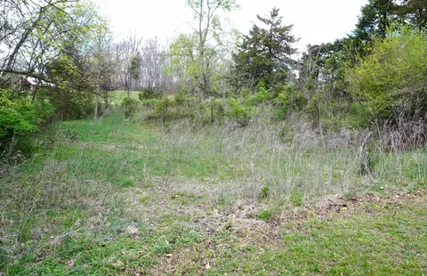 1301 Pratt Rd, Talbott, TN 37877 photo 16