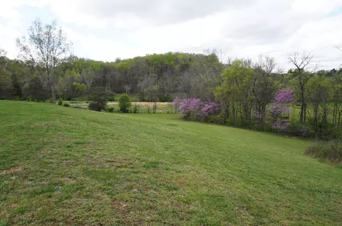 1301 Pratt Rd, Talbott, TN 37877 photo 6