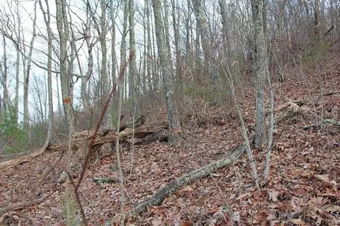 0 119 01 Dupont Springs Rd, Sevierville, TN 37876
