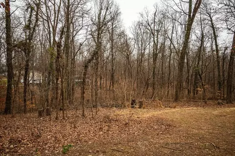 924 Whippoorwill Dr, Talbott, TN 37877 photo 30