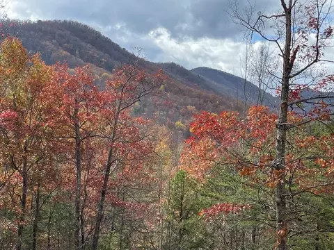 2 Caney Crk, Pigeon Forge, TN 37863