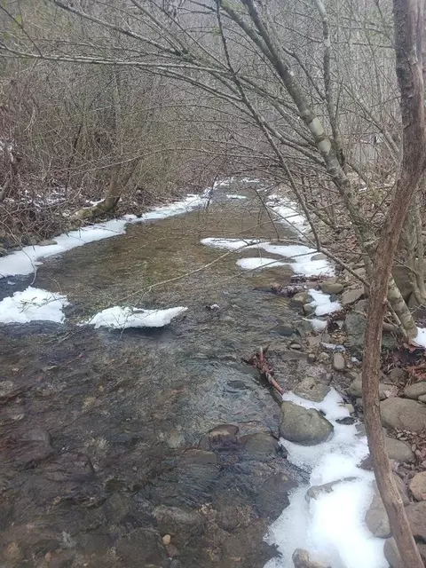 804 Mill Creek Rd, Pigeon Forge, TN 37863