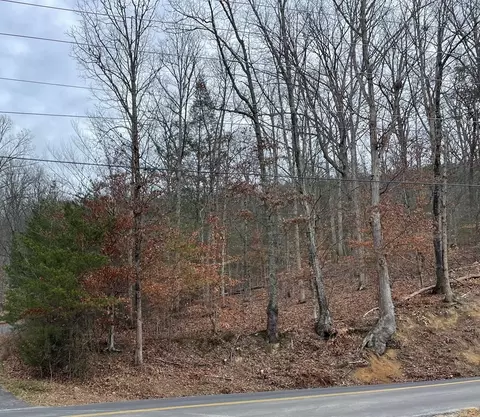 124 Sharp Rd, Sevierville, TN 37876 photo 3
