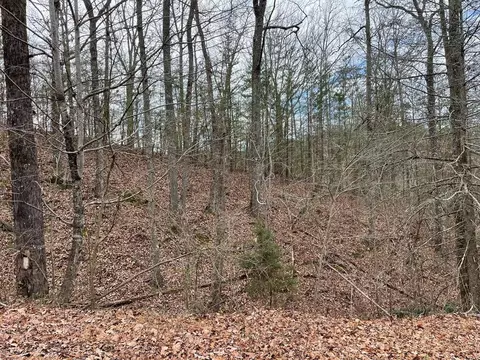124 Sharp Rd, Sevierville, TN 37876 photo 4